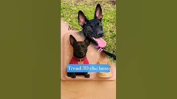 Con AI được việc ghê #3d #ai #chatgpt