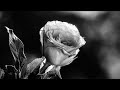 BRIMSTONE - Sleepwalkers (Deffyme Remix)