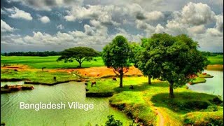 Beautiful village in Bangladesh village Area view || Vlog