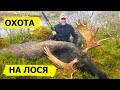 Охота на лося в Норвегии. Охотничьи приключения в Норвегии / NORDIC WILD HUNTER (Охотник и рыболов)