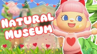 VALENTINES FAIRY CORE TOWN CORE ISLAND | ACNH MUSEUM BUILD | ANIMAL CROSSING NEW HORIZONS