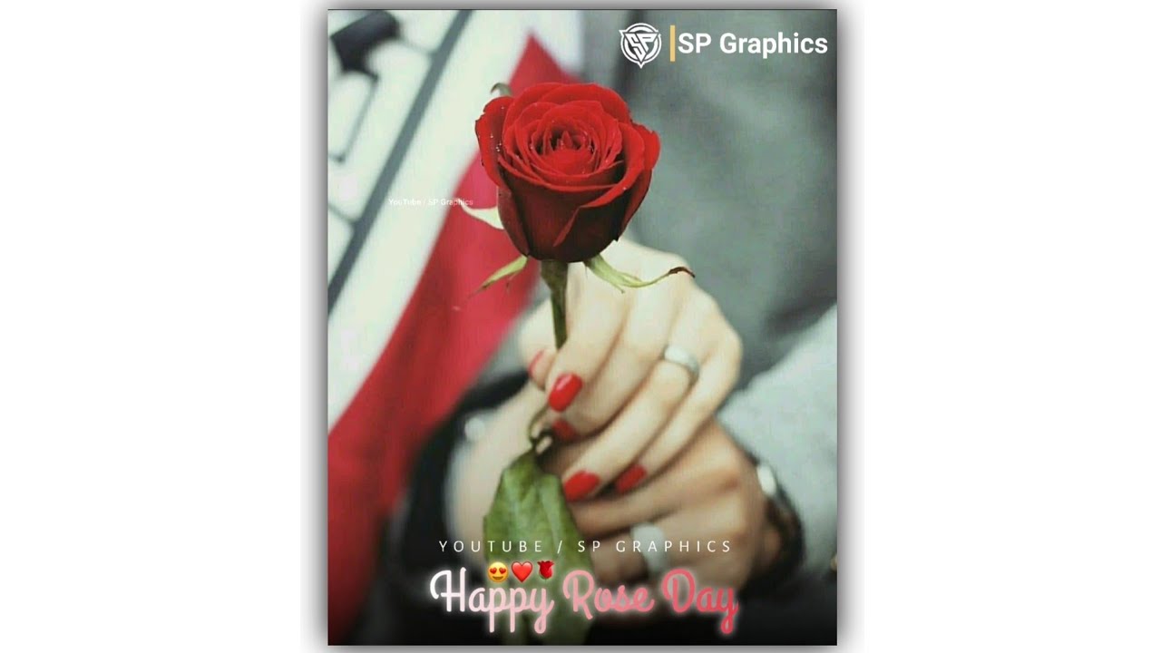 Rose Day Status 2022 | Happy Rose Day 2021 Whatsapp Status | Rose Day Status| Happy Rose Day 2022