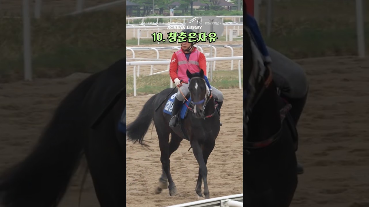 10.[부]청춘은자유 #코리안더비 #트리플크라운