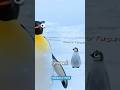 🤯जानवरों की अनोखी "Step-Mom"! 🦆#AnimalFacts #NatureLovers #Capybara #penguin #shortvideo #shorts