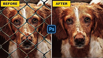 Remove Fence With Simple Steps in Photoshop - Remove Dog Fence -  Photoshop Tutorial for Beginners