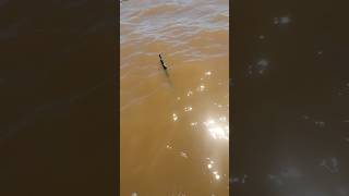 Encontré una caña flotando en el Río de la plata, ya encontré al dueño🎉