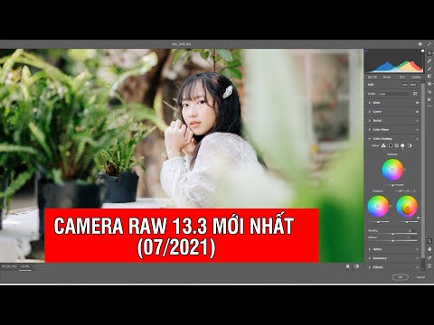 Video Hướng dẫn sử dụng Camera Raw 13 mới nhất trên... - youtube
