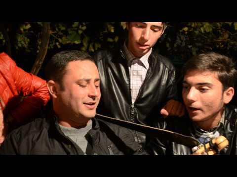 ვაზს შევხვდი თურქთა მიწაზე