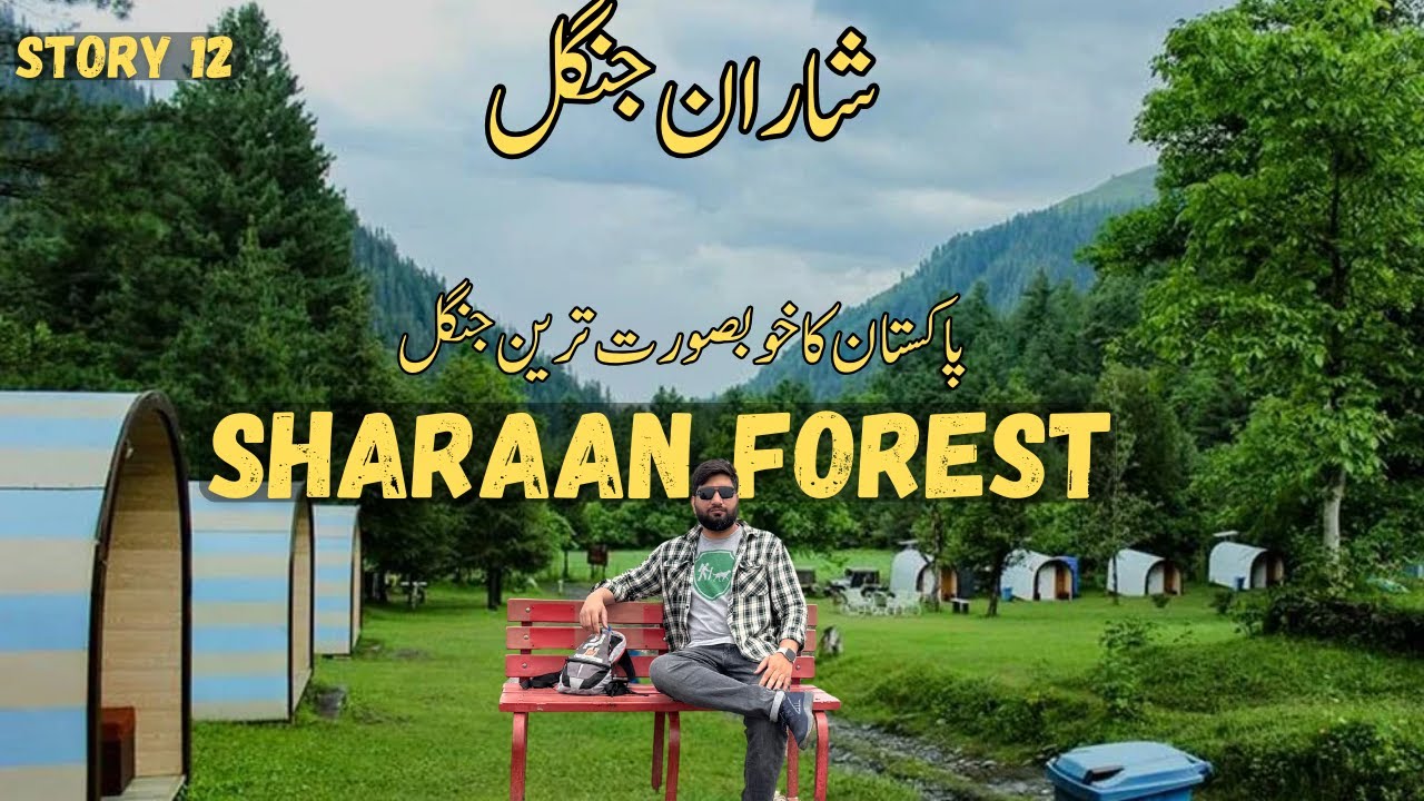 Planning Your Trip To Sharan Forest? || Sharan Forest Vlog || Sharan Forest Road || Story 12