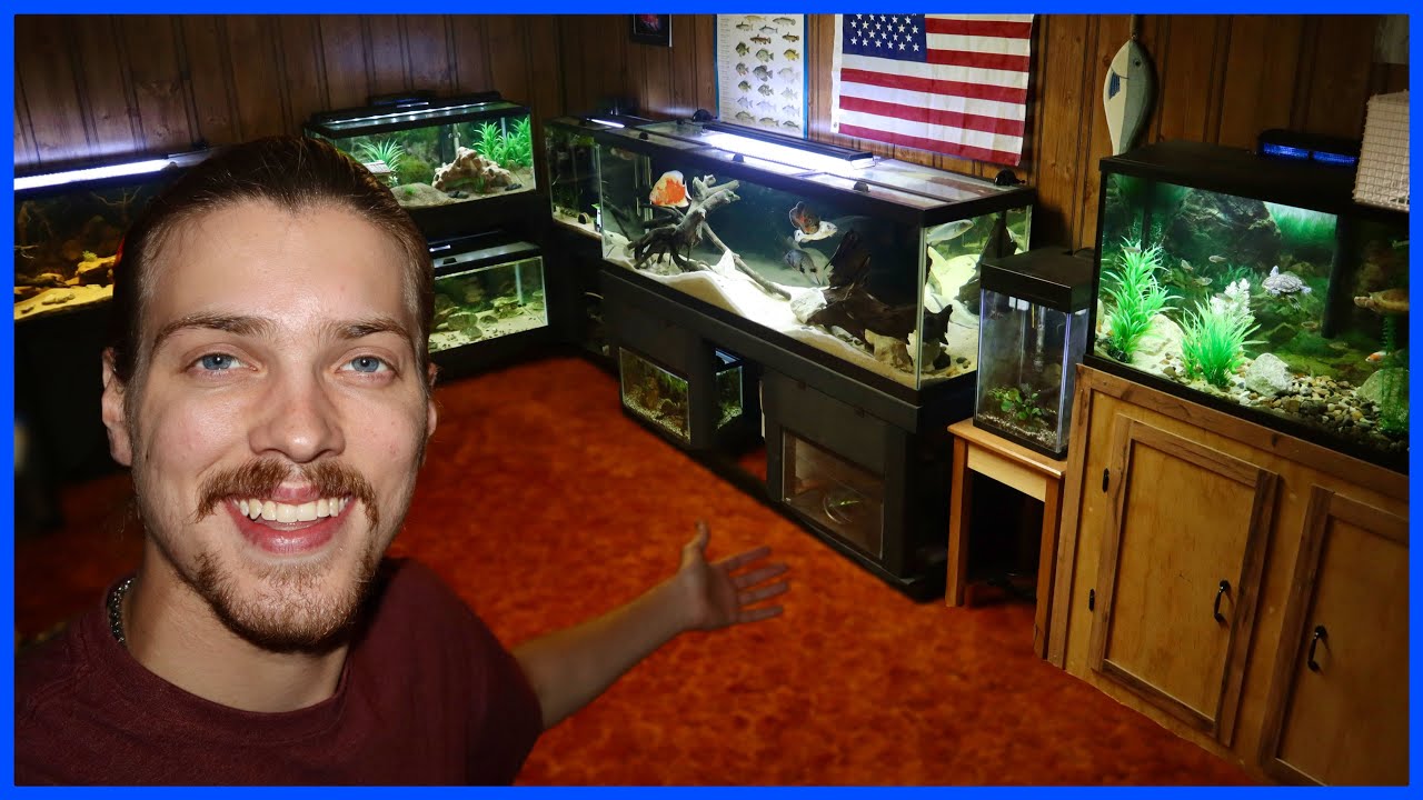 Microfish Room FULL TOUR Of My FISH ROOM! - YouTube