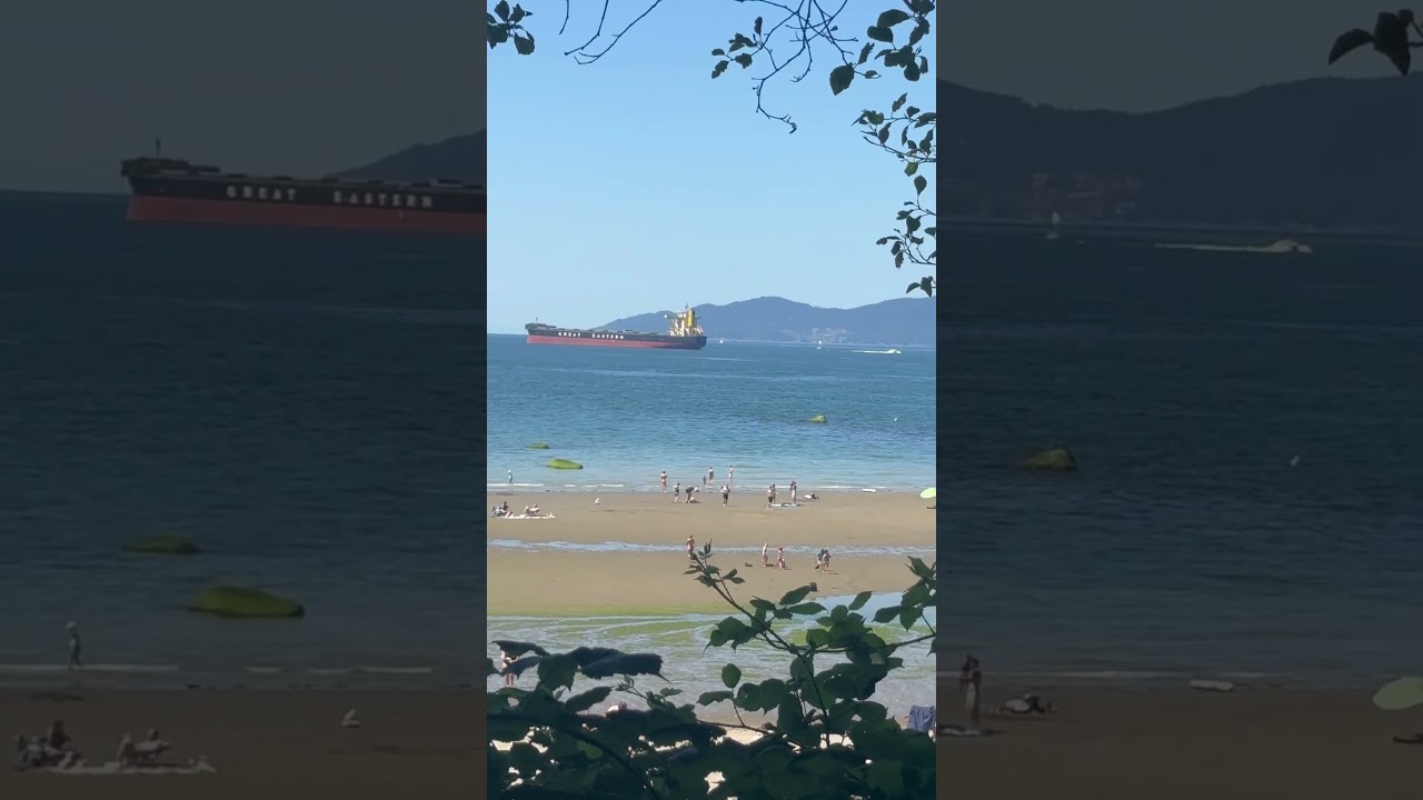 Beautiful Sunny Beach Day 