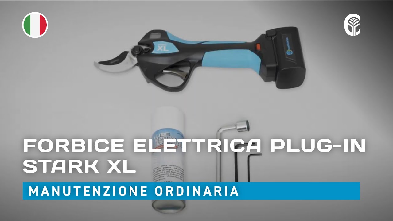 🇮🇹 Manutenzione ordinaria: CAMPAGNOLA STARK XL