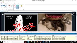 How to obtain Image details from Scrolller website using Webharvy