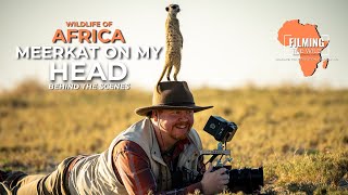 Behind The Scenes Filming Wildlife In Africa | Part IV | Meerkat On My Head