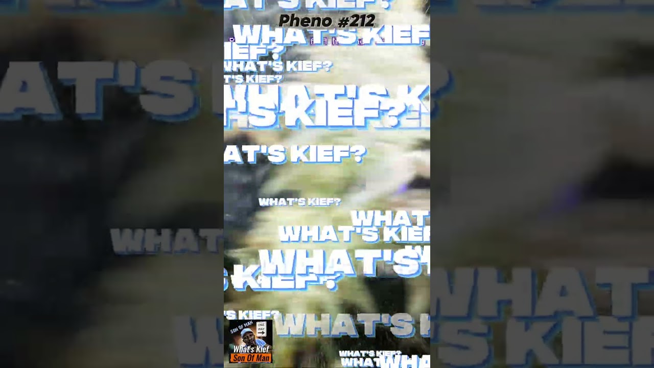 Northern Celebrity | Pheno-212 | Son Of Man "What's Kief" 