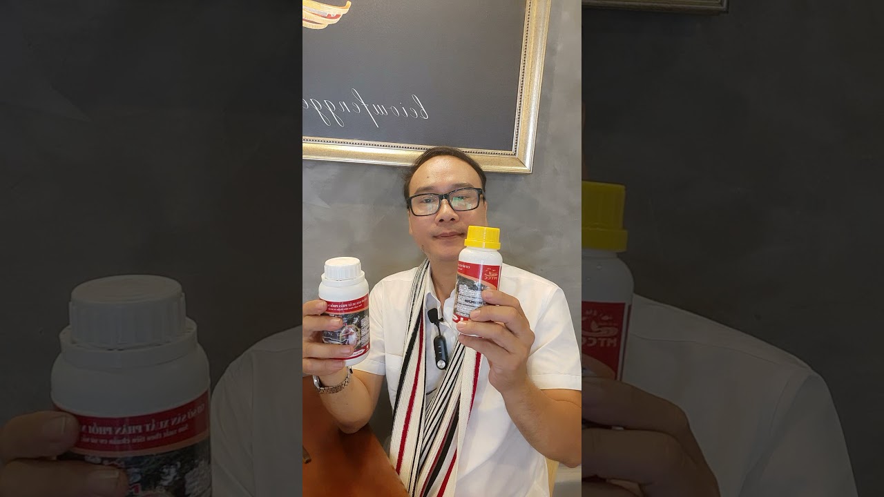 Hướng dẫn MTCC Bite cách ủ bún đánh cá Tra hồ dịch vụ... - youtube