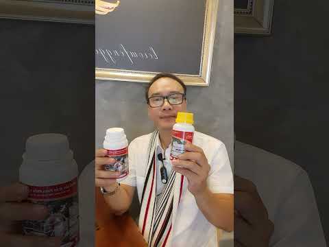 Video Hướng dẫn MTCC Bite cách ủ bún đánh cá Tra hồ dịch vụ... - youtube