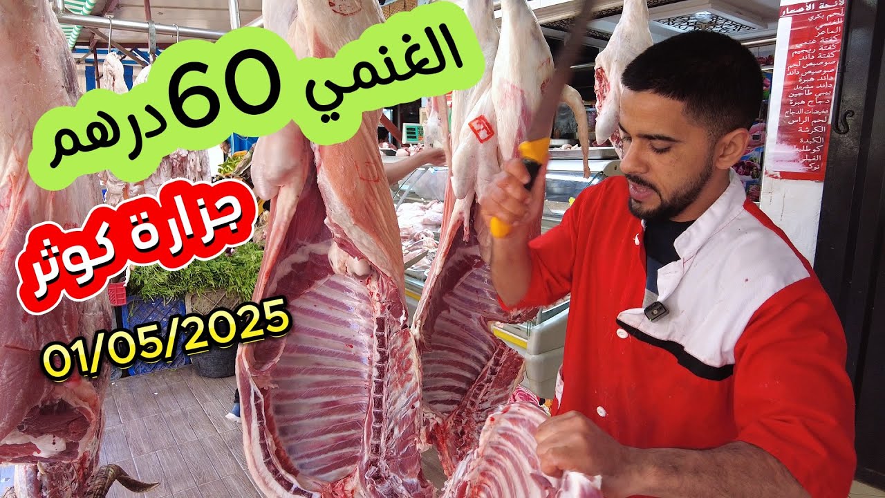 أجي تشوف غنمي 60درهم بني ملال عند أشرف جزارة كوثر 01/05/2025