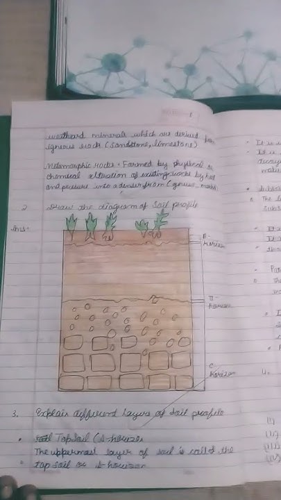 class 7th science chapter 8 soil question answer on start up science ...