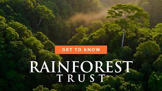 60 Million Protected Acres and Counting: Get To Know Rainforest Trust