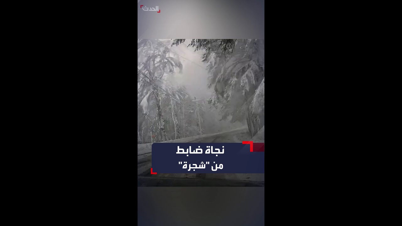 نجاة ضابط أميركي بأعجوبة من شجرة كادت أن تسقط على سيارته