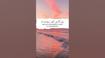 أَفَلَا يَنظُرُونَ إِلَى ٱلْإِبِلِ كَيْفَ خُلِقَتْ/سورة الغاشية