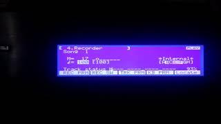 Roland W-30 Vintage Analog Rom Test - Riva Lima