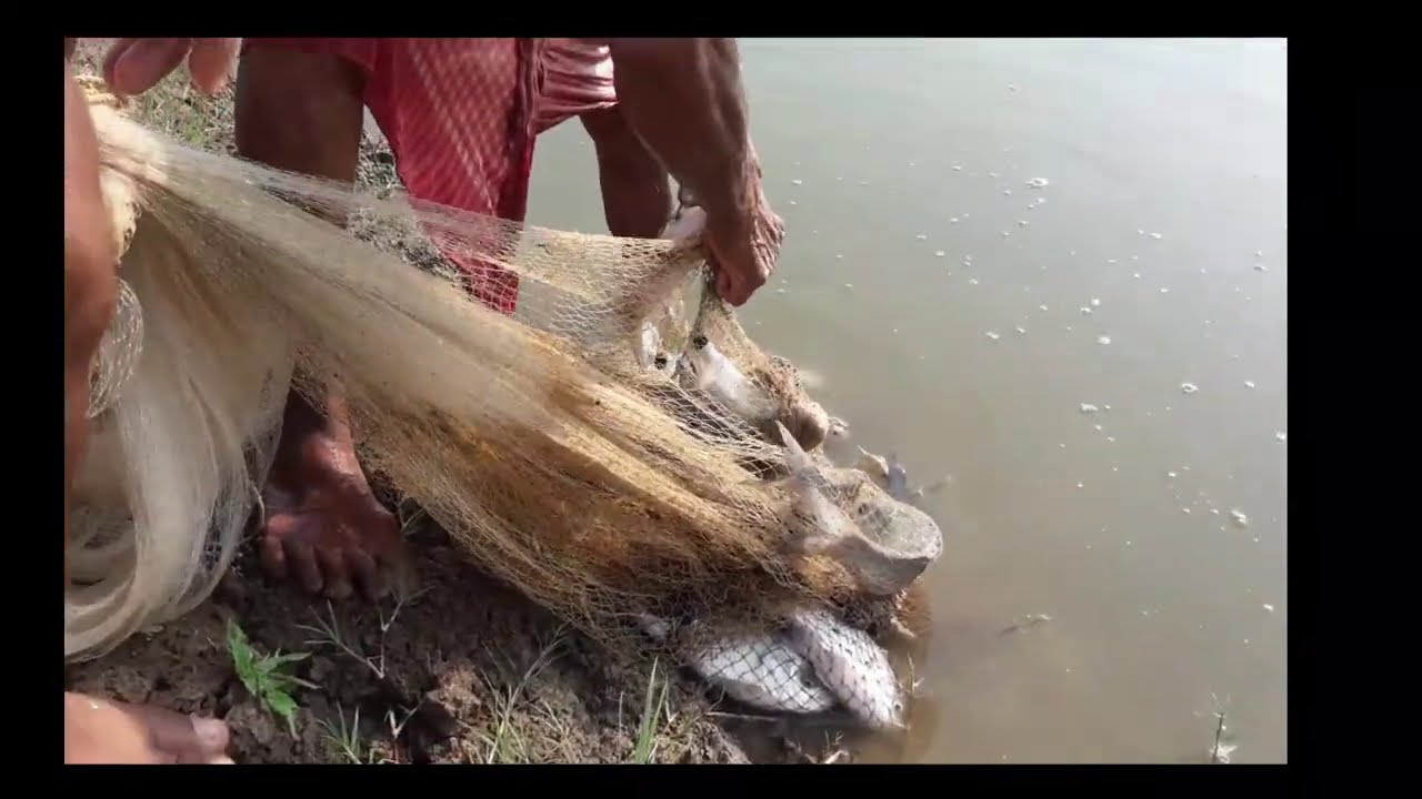 Fish Farming in Puri (odisha