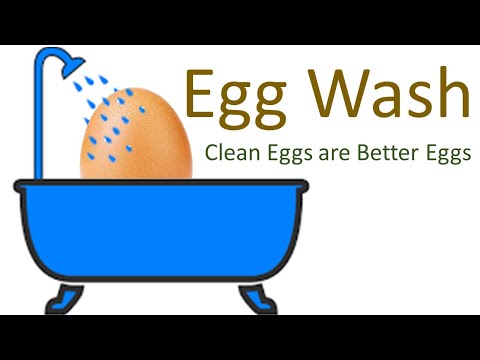 How We Wash Eggs 