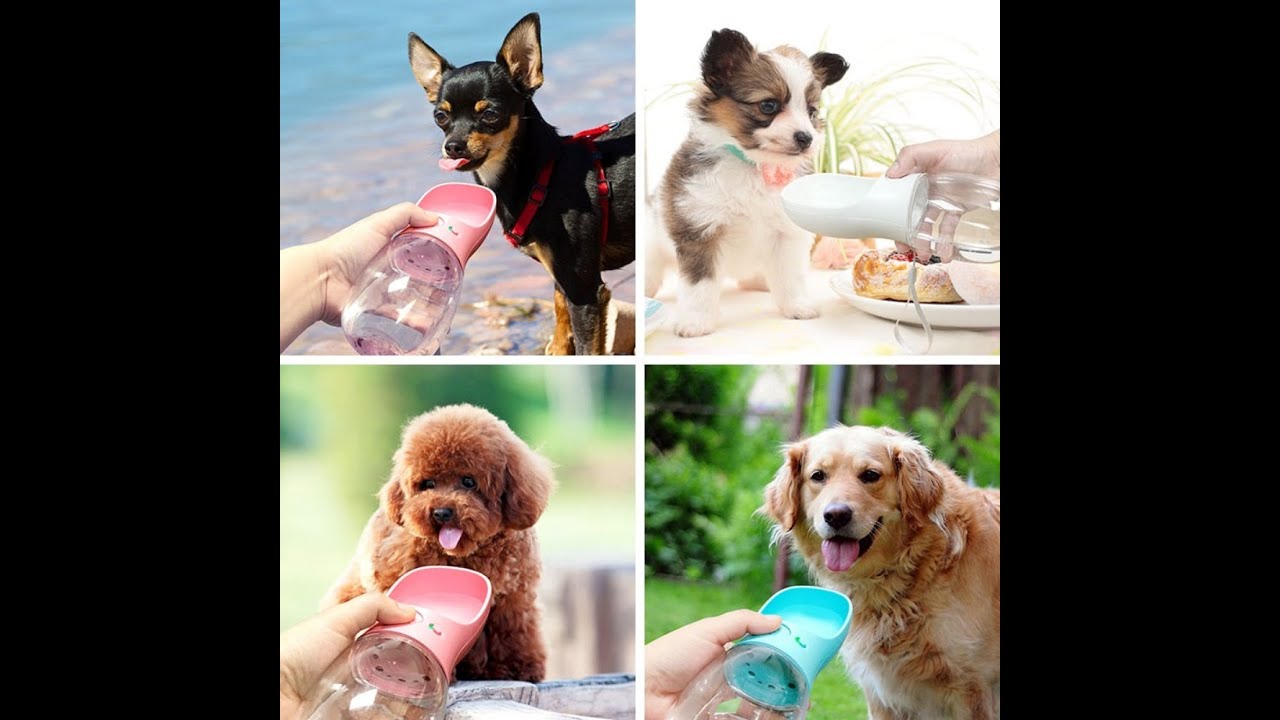 buy dogs traveling drinking waterbottle leak proof travel feeder essentials ✈️ free.shipping