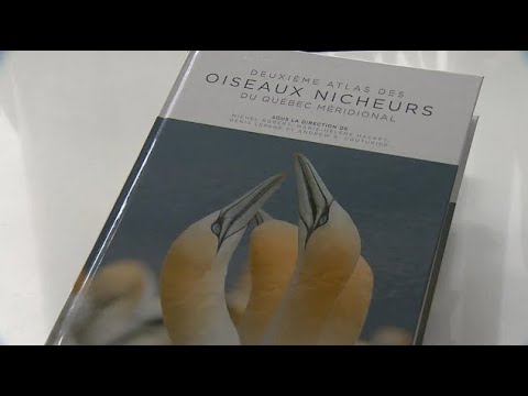 La Semaine Verte Atlas Des Oiseaux Nicheurs 