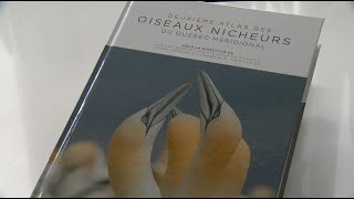 La semaine verte | Atlas des oiseaux nicheurs La semaine verte | Atlas des oiseaux nicheurs