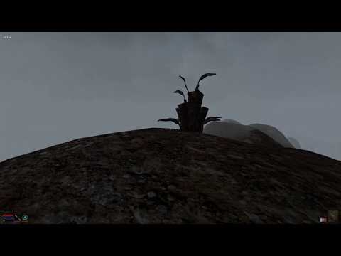 Compassion - Morrowind