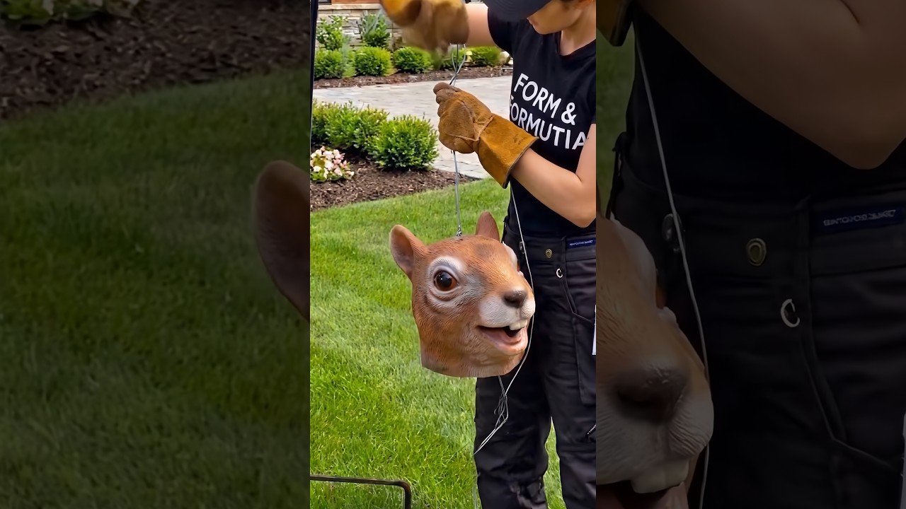 Latest Title & Thumbnail
