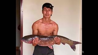 Hàng Tự Nhiên 2023