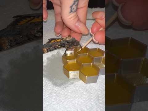 Why is it difficult to feed pet moths? #shorts