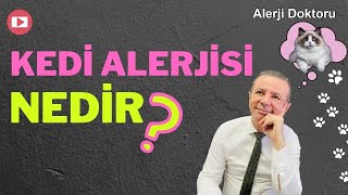 Kedi Alerjisi Belirtileri, Teşhisi ve Tedavisi Nasıl Yapılır?  Alerji Doktoru Ahmet Akçay anlatıyor