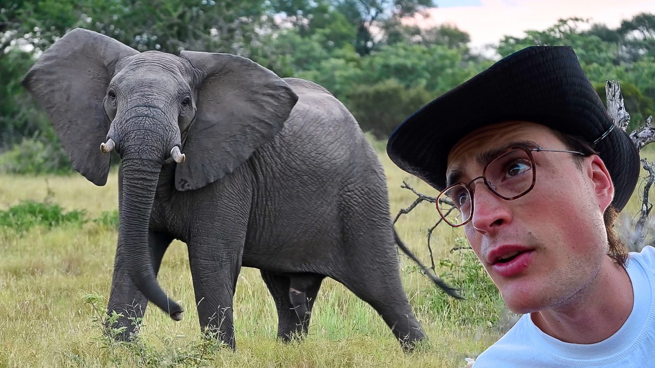 I Spent 3 Nights At Sabi Sabi Luxury Private Game Reserve