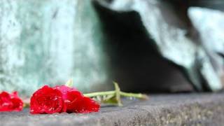 How To Plan A Memorial Service