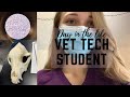 Day in the Life of a Vet Tech Student!