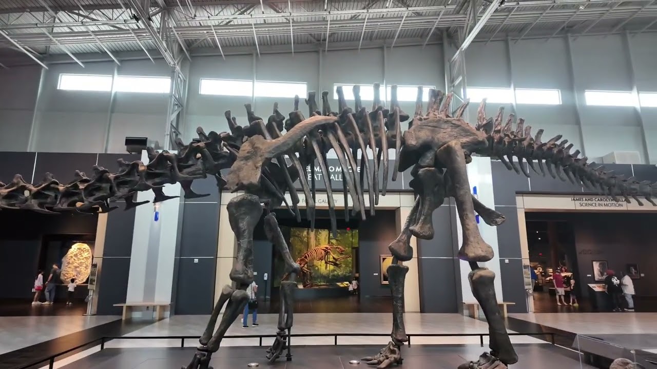 TELLUS Museum - Brontosaurus (Sun. 05/26/2024)