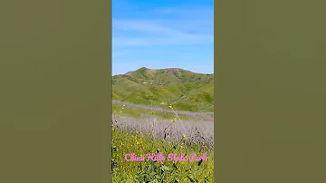 #chinohills #california #westcoast #mountains #hills #spring #beautiful #flowers #snow #caps