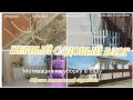 ПЕРВЫЙ САДОВЫЙ ВЛОГ 🏡 МОТИВАЦИЯ НА УБОРКУ В САДУ🌳ОБРЕЗКА МЕТЕЛЬЧАТОЙ ГОРТЕНЗИИ✂️🌸 ПОКРАСКА КАЛИТКИ🎨