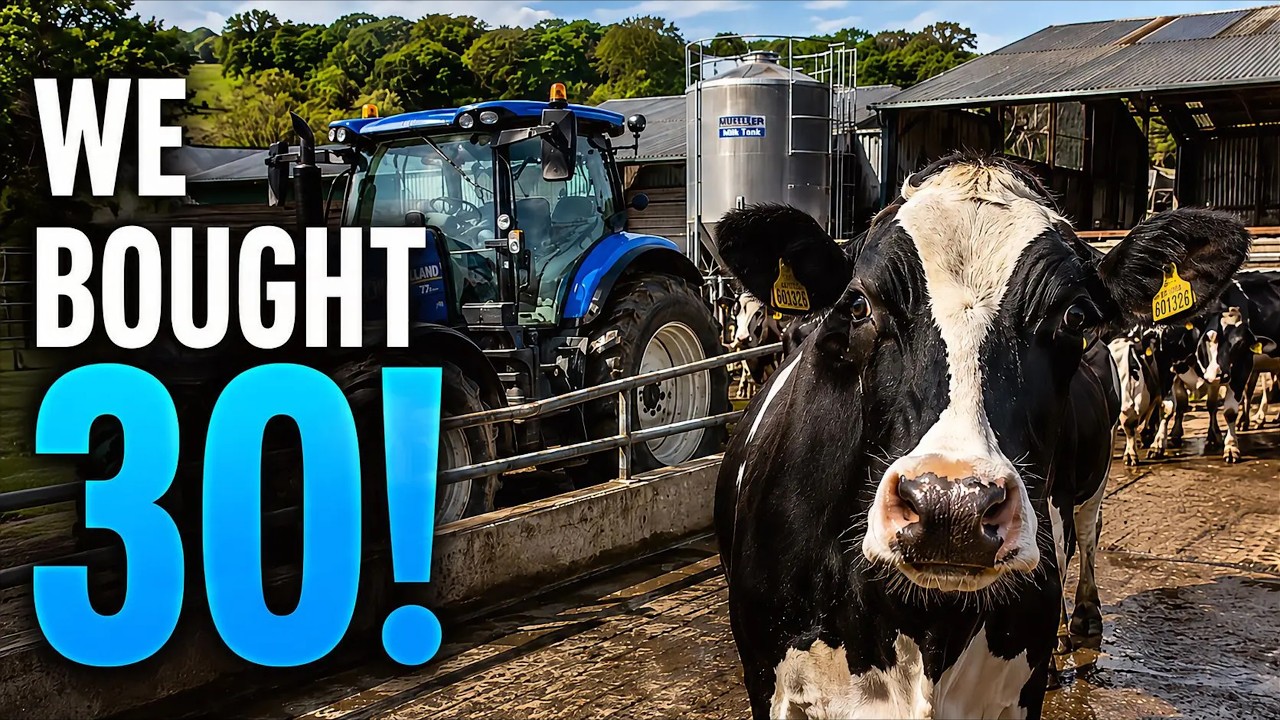 OUR DAIRY FARM BEGINS! | Witcombe Park EP10