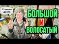 ИННУ ВЫГНАЛИ НА УЛИЦУ ?? // ЯКУБ ПРИВЕЗ УГОЛЬ ??