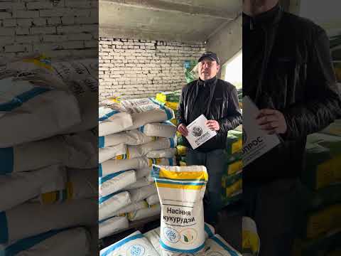 Семена кукурузы Хотин, урожай 2025 - Харьков, видео 1