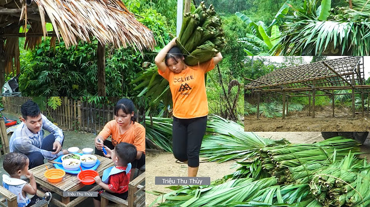 Thatching the Roof with Palm Leaves and a Friendly Meal with the Neighbor!