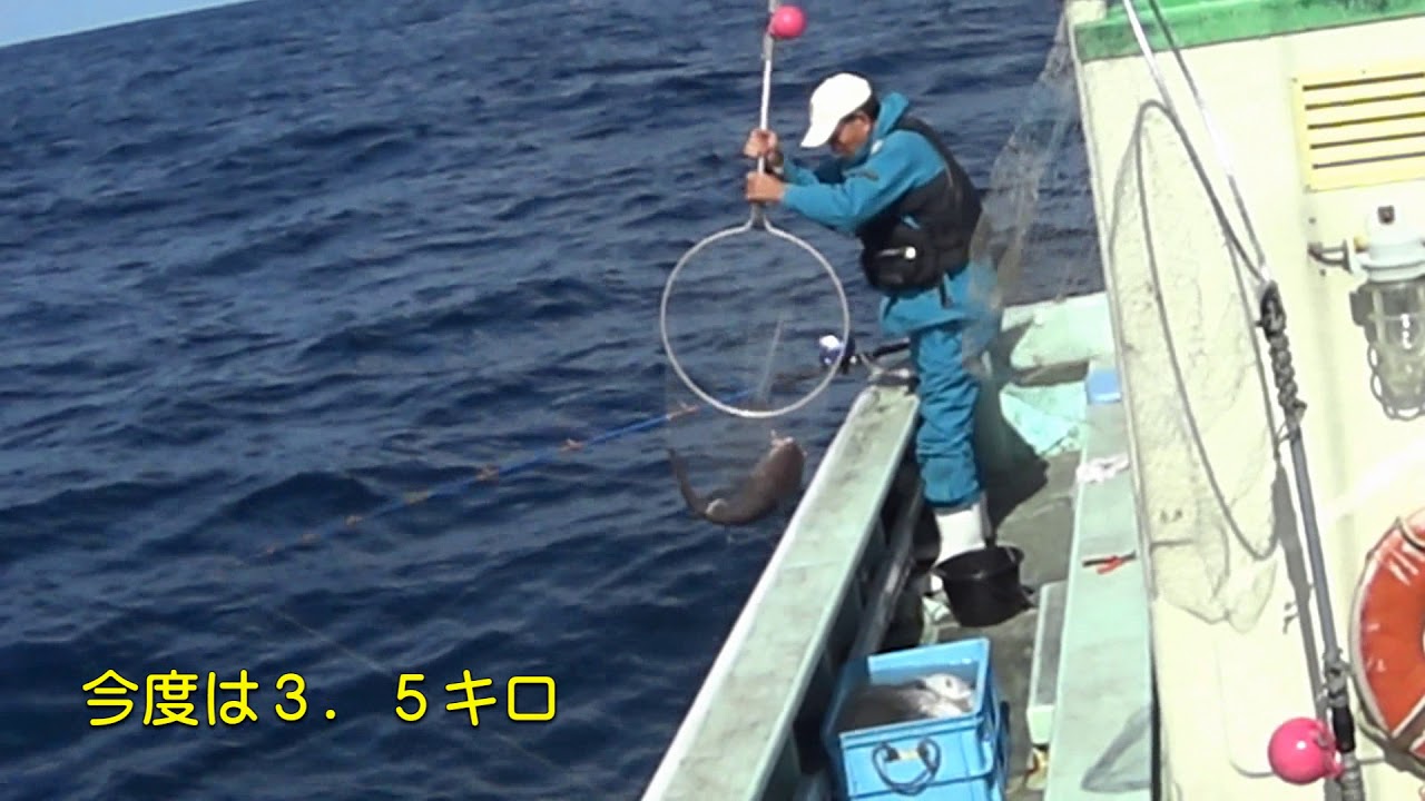 マダラ釣行 餌釣り ２０１７ １０ Youtube