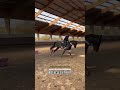 Séance Commentée Equitation Cheval Cso Cavalier Obstacle mp3