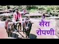        suri bhatt  pahadi raibar